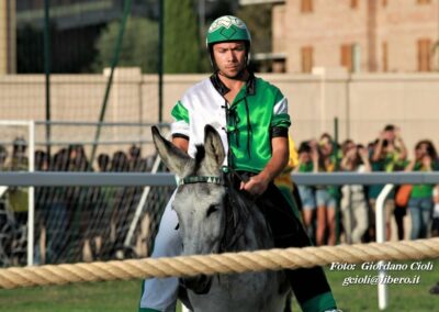 Palio dei Ciuchi Asciano