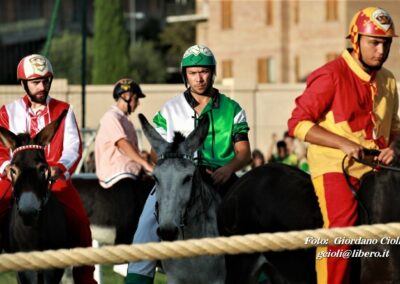 Palio dei Ciuchi Asciano