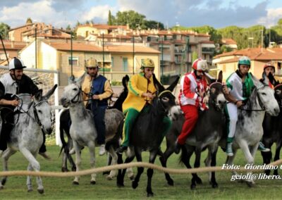 Palio dei Ciuchi Asciano