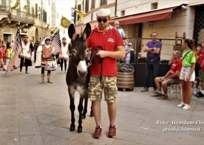 Palio dei Ciuchi Asciano