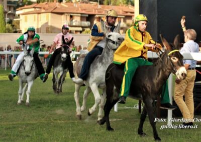 Palio dei Ciuchi Asciano