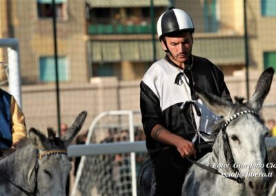 Palio dei Ciuchi Asciano