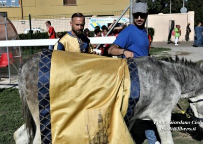 Palio dei Ciuchi Asciano