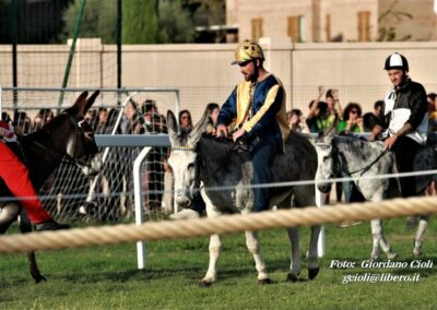 Palio dei Ciuchi Asciano