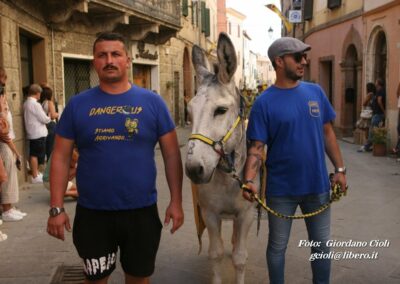 Palio dei Ciuchi Asciano