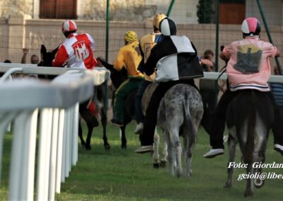 Palio dei Ciuchi Asciano