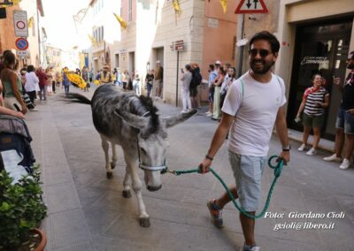 Palio dei Ciuchi Asciano