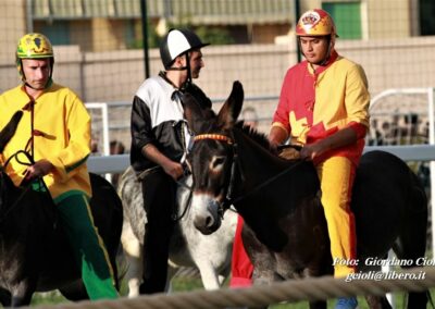 Palio dei Ciuchi Asciano