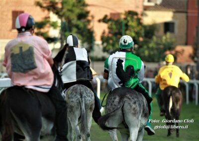 Palio dei Ciuchi Asciano