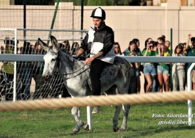 Palio dei Ciuchi Asciano