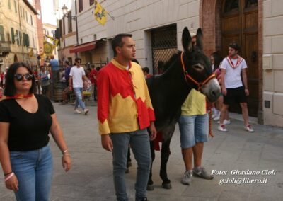 Palio dei Ciuchi Asciano