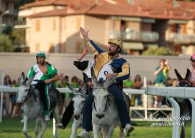 Palio dei Ciuchi Asciano