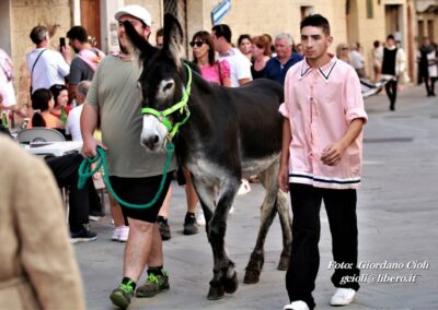 Palio dei Ciuchi Asciano