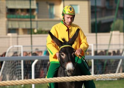 Palio dei Ciuchi Asciano