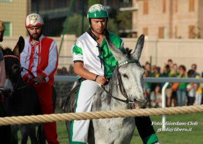 Palio dei Ciuchi Asciano