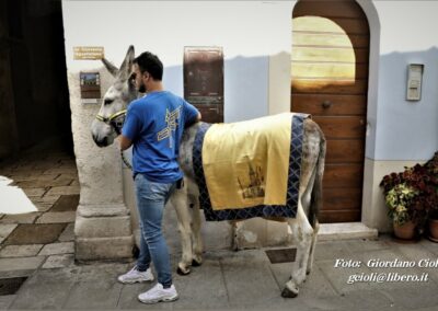 Palio dei Ciuchi Asciano