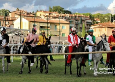 Palio dei Ciuchi Asciano