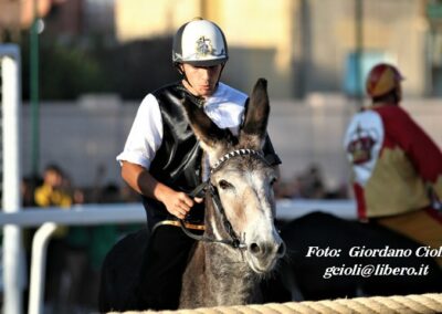 Palio dei Ciuchi Asciano