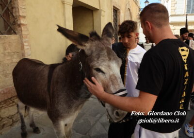 Palio dei Ciuchi Asciano