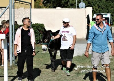 Palio dei Ciuchi Asciano