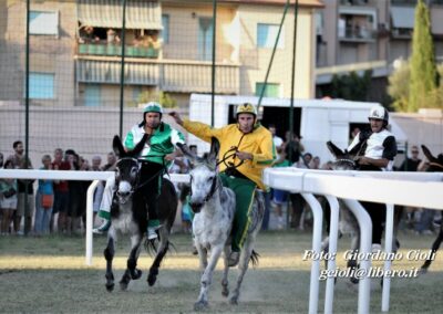 Palio dei Ciuchi Asciano