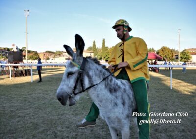 Palio dei Ciuchi Asciano