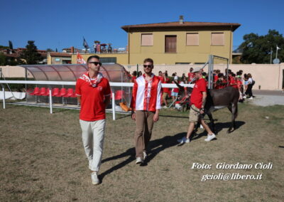 Palio dei Ciuchi Asciano