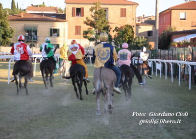 Palio dei Ciuchi Asciano