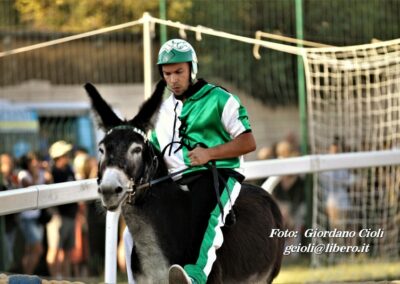 Palio dei Ciuchi Asciano