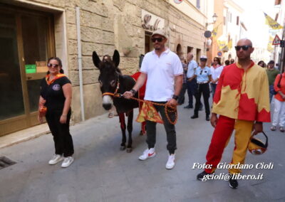 Palio dei Ciuchi Asciano