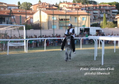 Palio dei Ciuchi Asciano