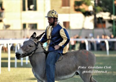 Palio dei Ciuchi Asciano