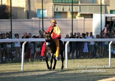 Palio dei Ciuchi Asciano