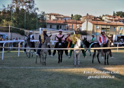 Palio dei Ciuchi Asciano