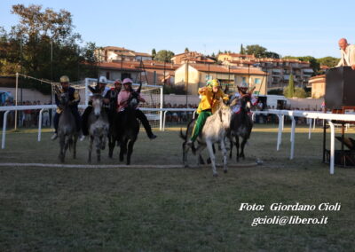 Palio dei Ciuchi Asciano